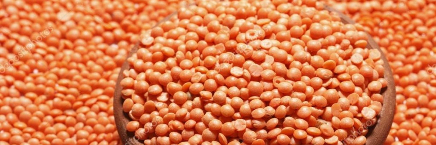 MASOOR DAL/LENTILS
