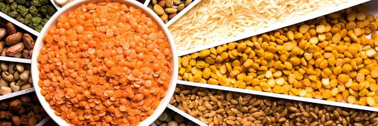 OTHER DAL & GRAIN