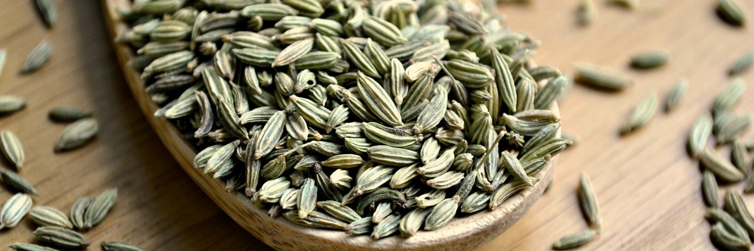 FENNEL SEED