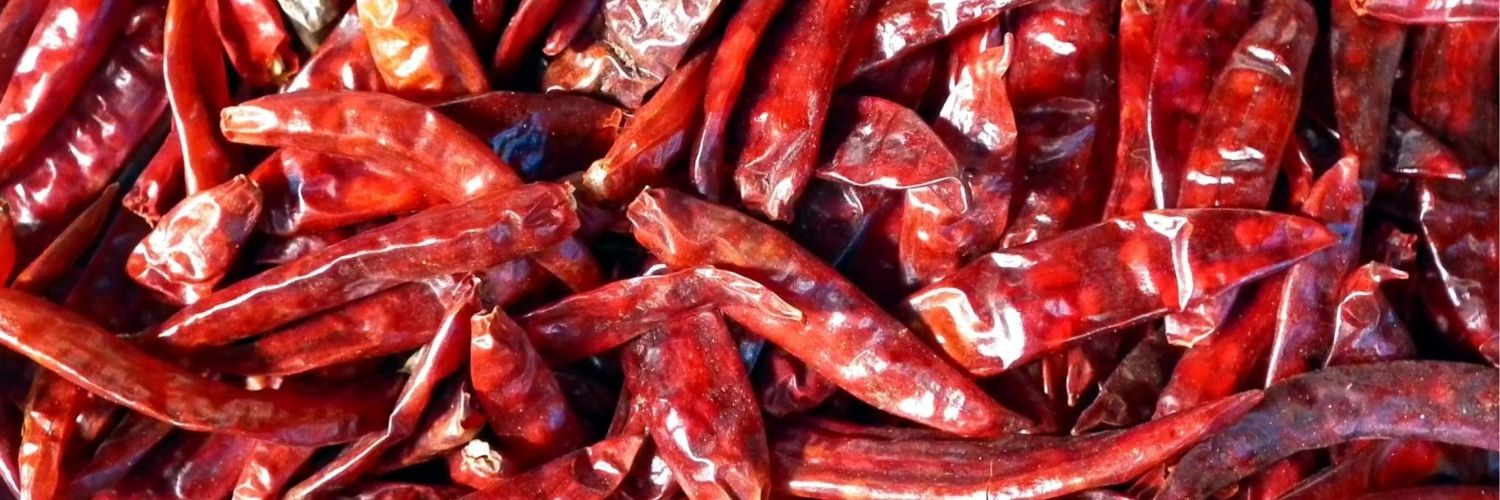 DRIED RED CHILLIES