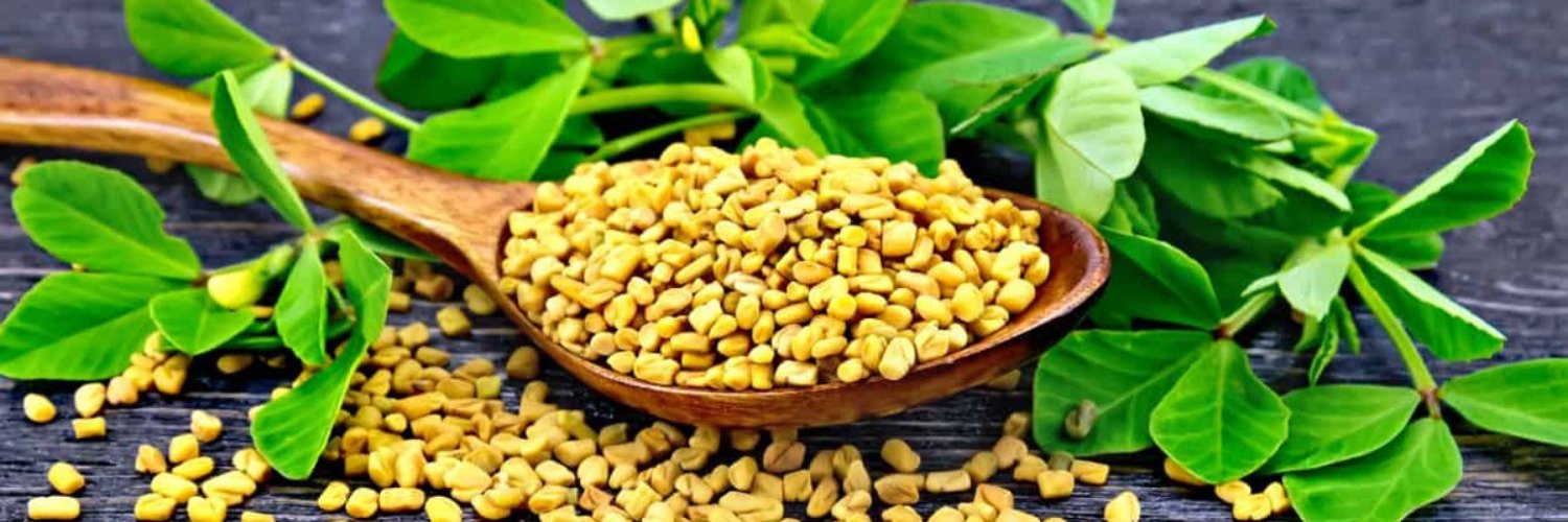 METHI SEED
