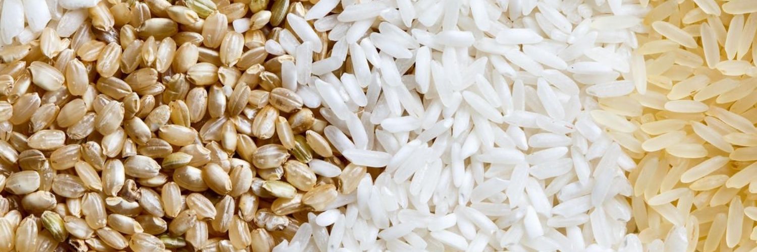 LONG GRAIN RICE
