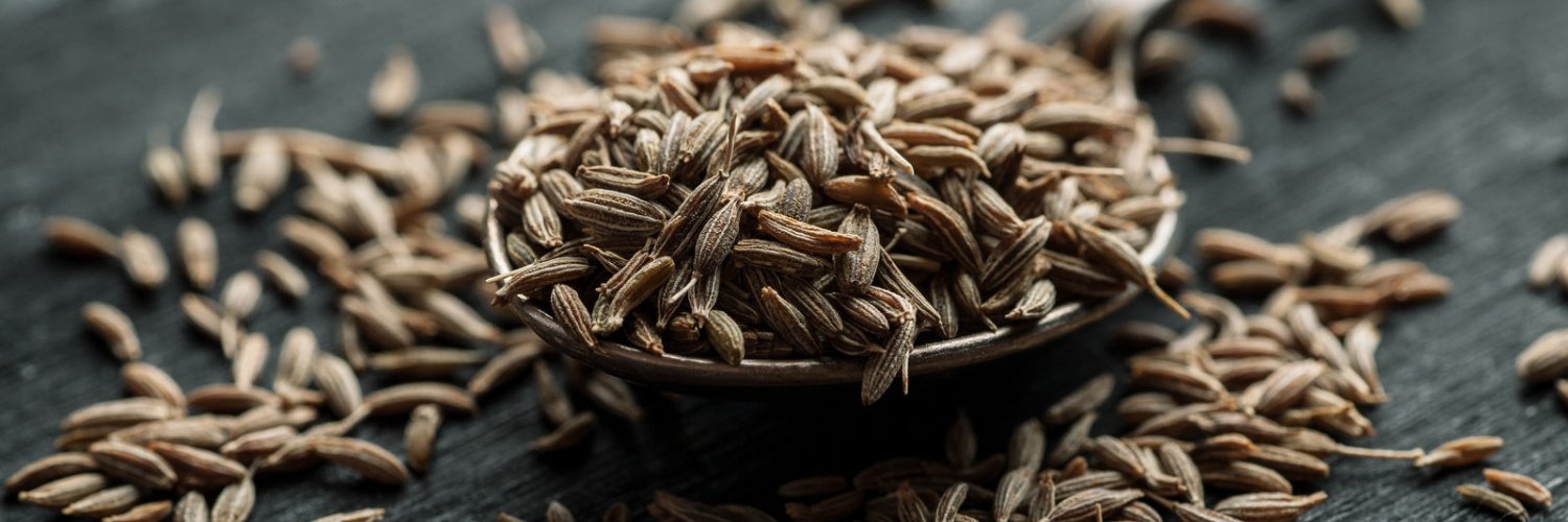 CUMIN SEED