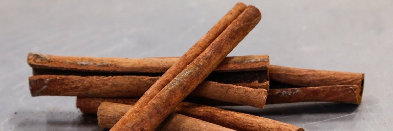 CINNAMON STICK