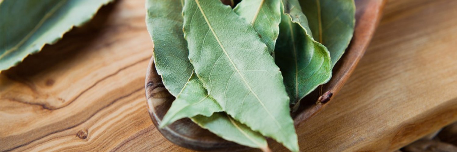 BAY LEAVES