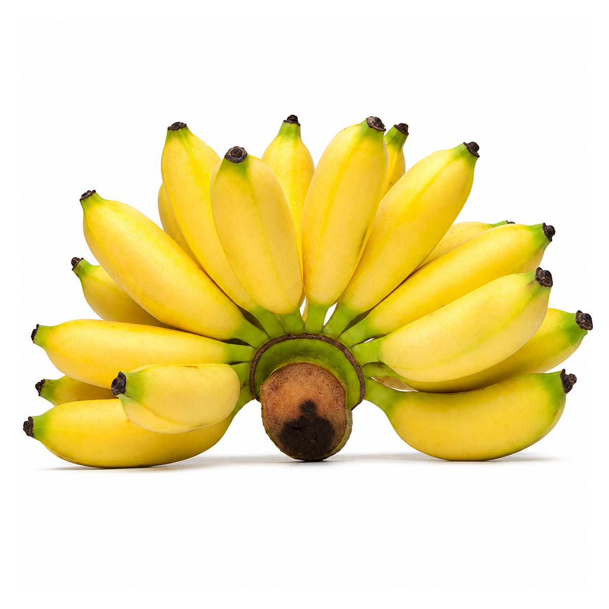 Buy Apple Banana (Kathali Kola) 1kg at Desicart.co.uk - Online Indian Grocery Store UK