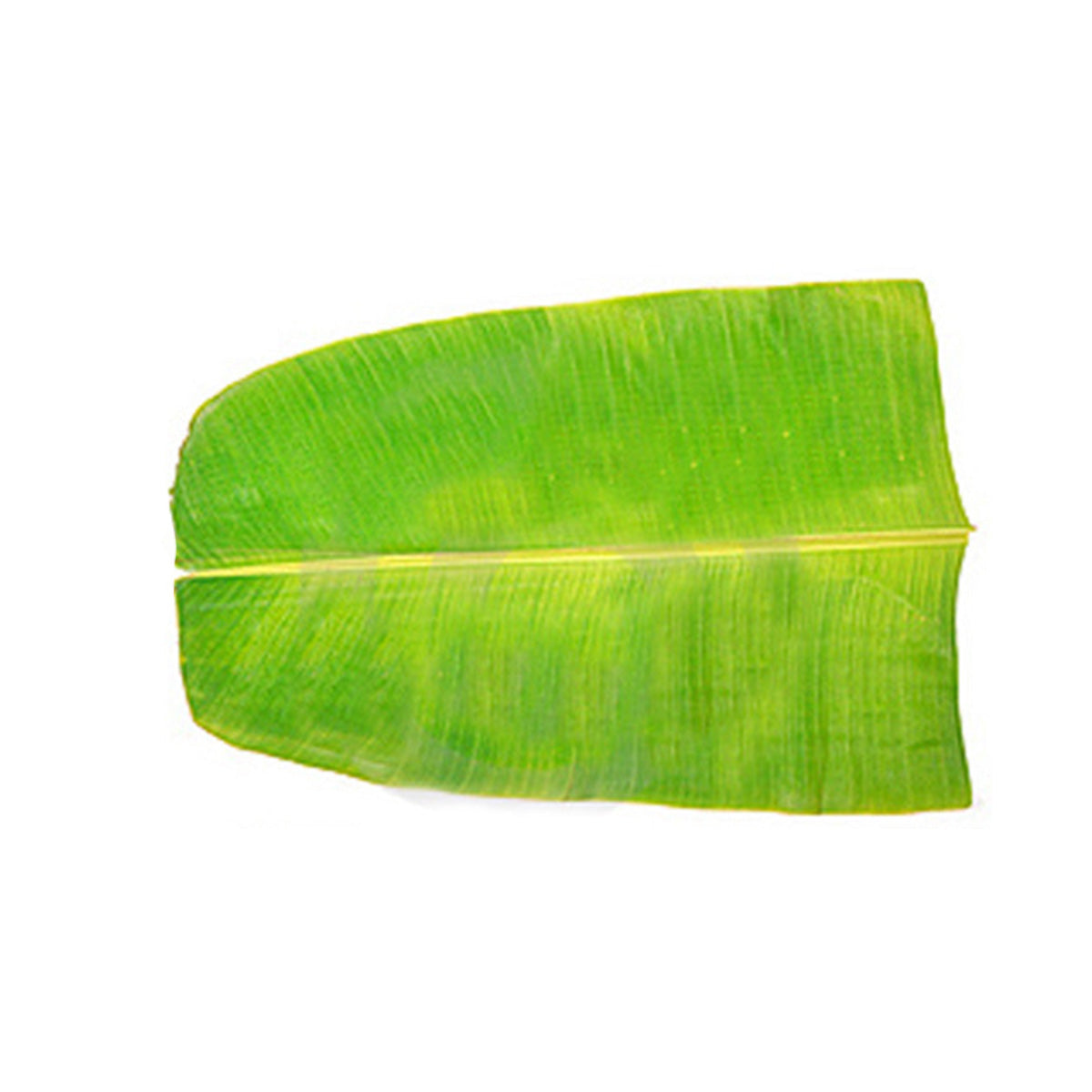 Buy Banana Leaves Paper at Desicart.co.uk - Online Indian Grocery Store UK