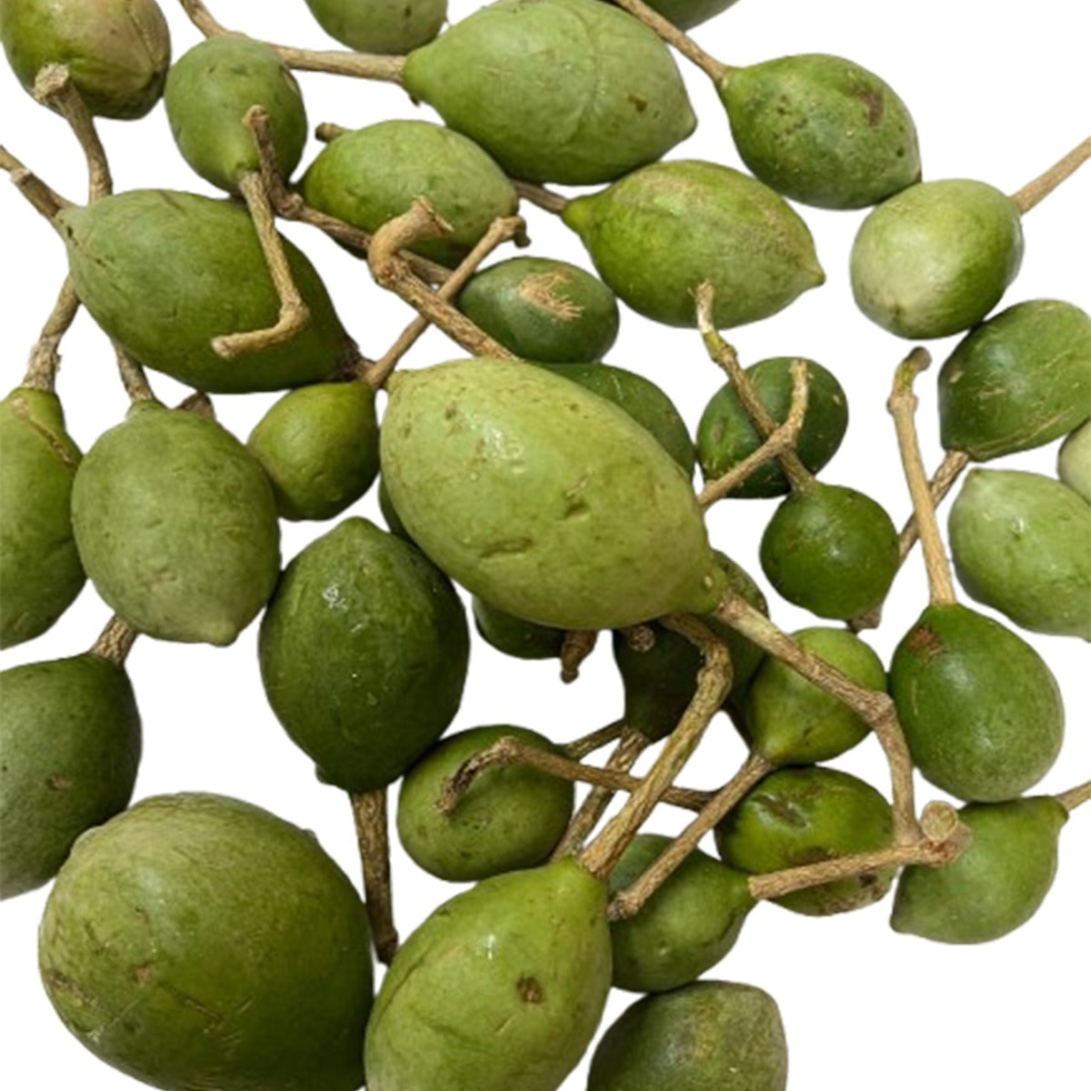 Buy Kathottikai (Hog Plum) 100g at Desicart.co.uk - Online Indian Grocery Store UK