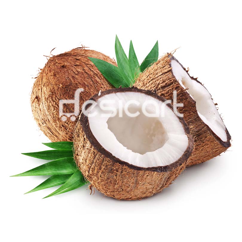 COCONUT - SINGLE