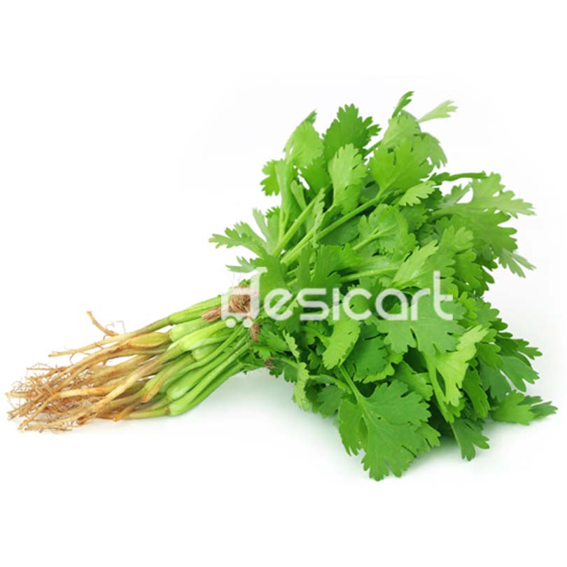 FRESH CORIANDER LEAF BUNCH