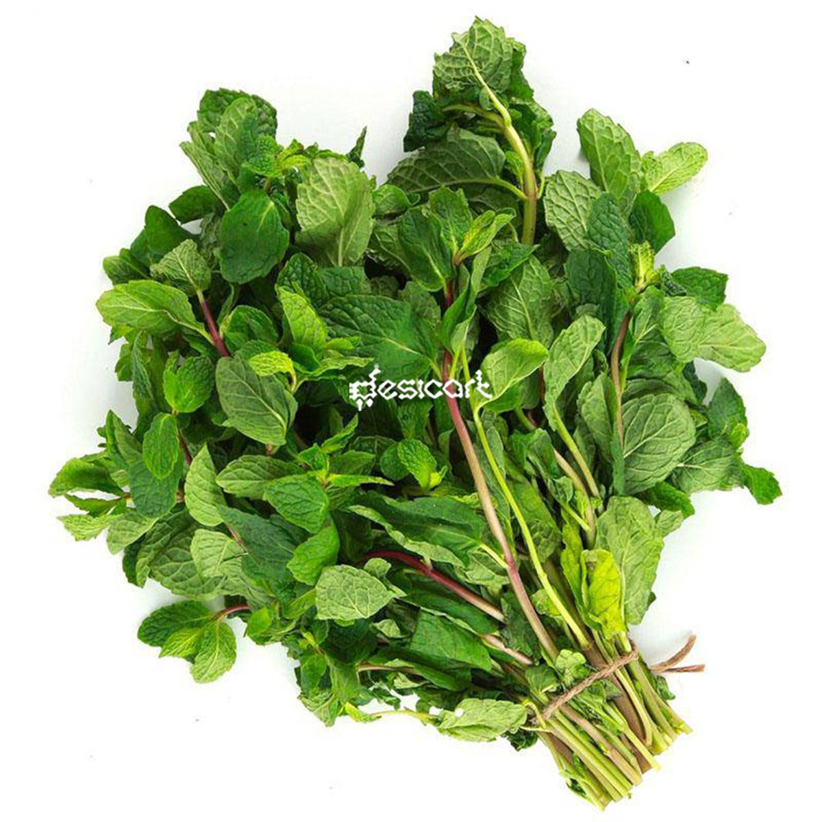 FRESH MINT/PUDINA LEAVES BUNCH