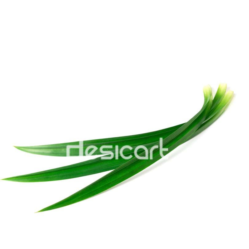 RAMBAI LEAF (SINGLE)