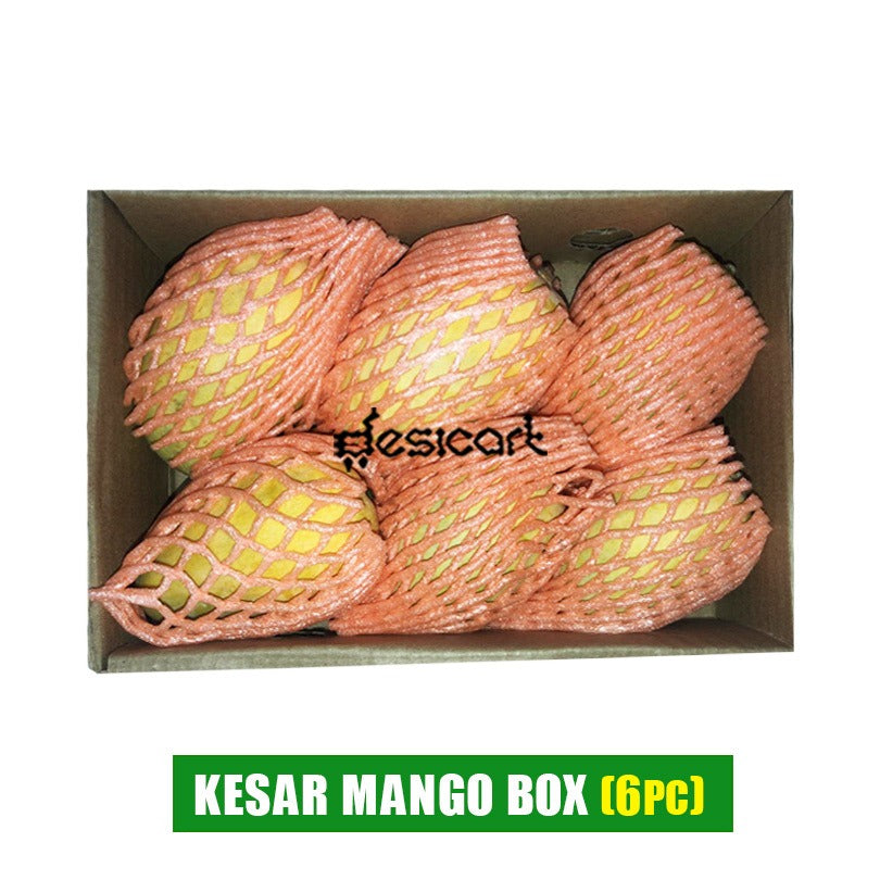 KESAR MANGO BOX - 1.3 KG( 5 TO 6 PCS)