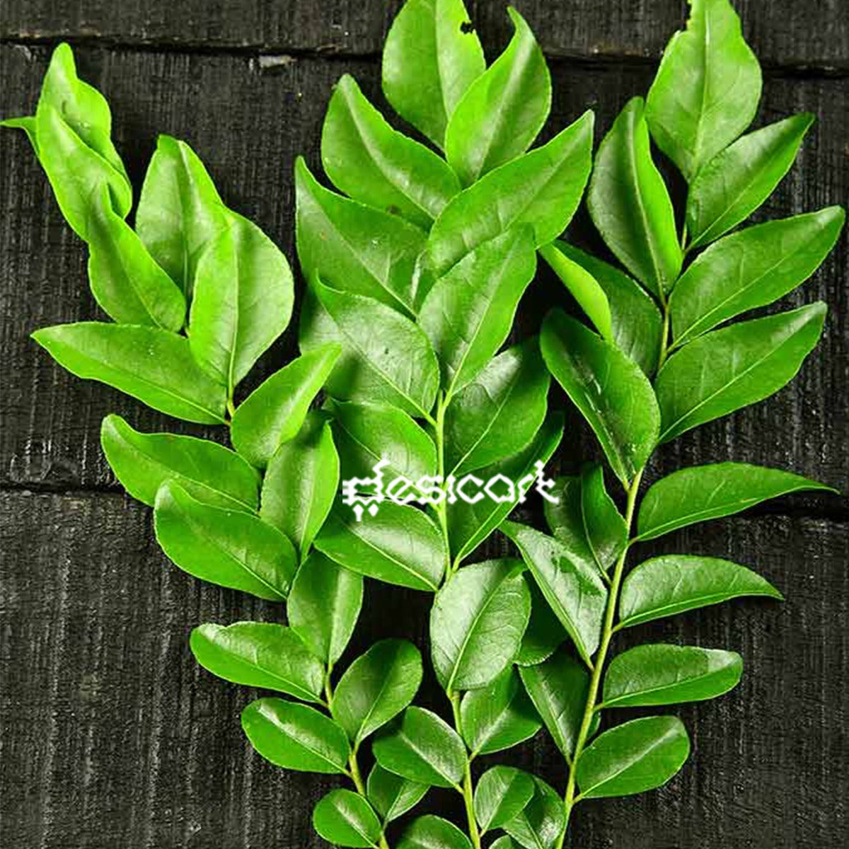 CURRY LEAVES 20G (APPROX)