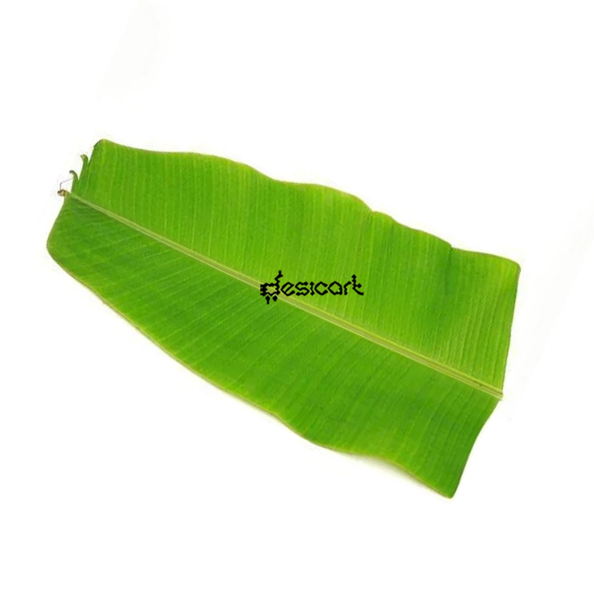 BANANA LEAF-2pcs