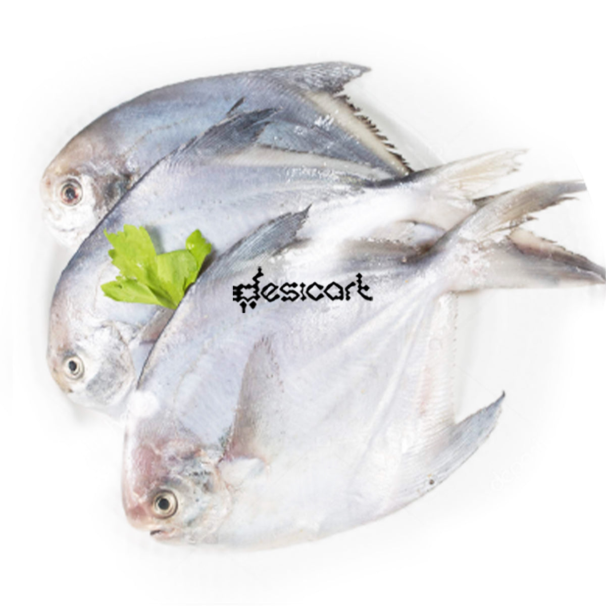 Diamond Silver Pomfret 1kg