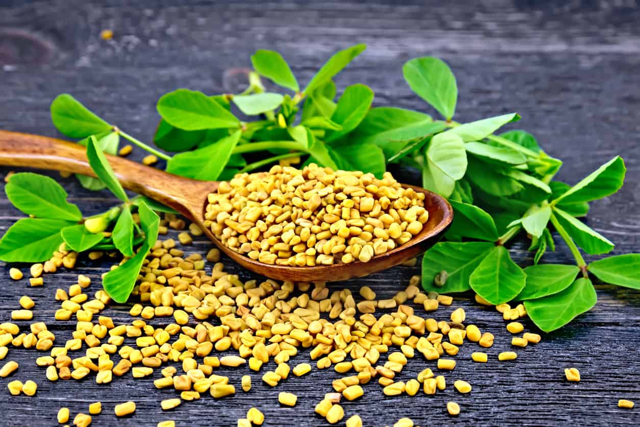 Some simple ways to use Fenugreek for healthy Life & tasty dishes!