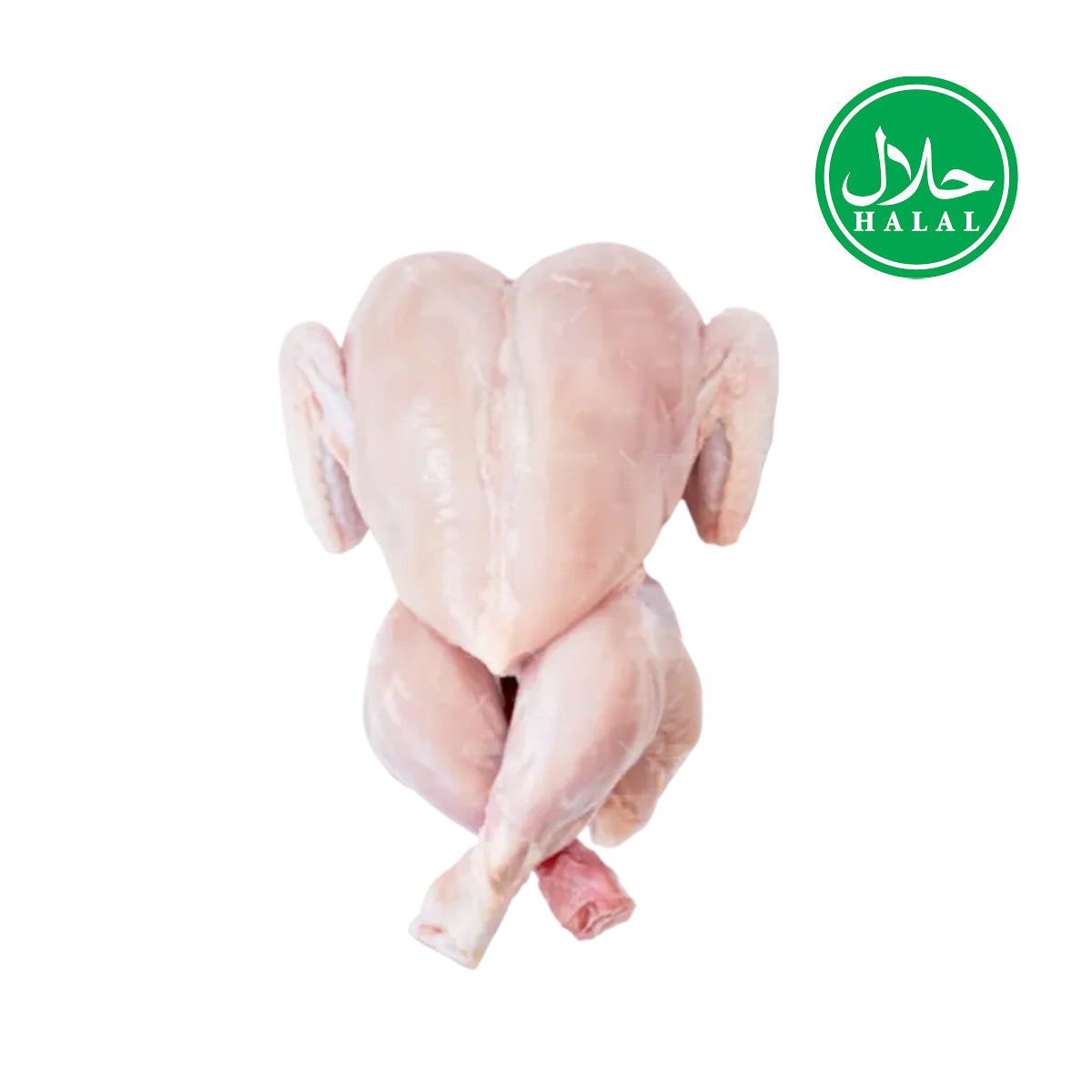 FRESH 100% HALAL BABY CHICKEN 1PCS (WITHOUT SKIN)