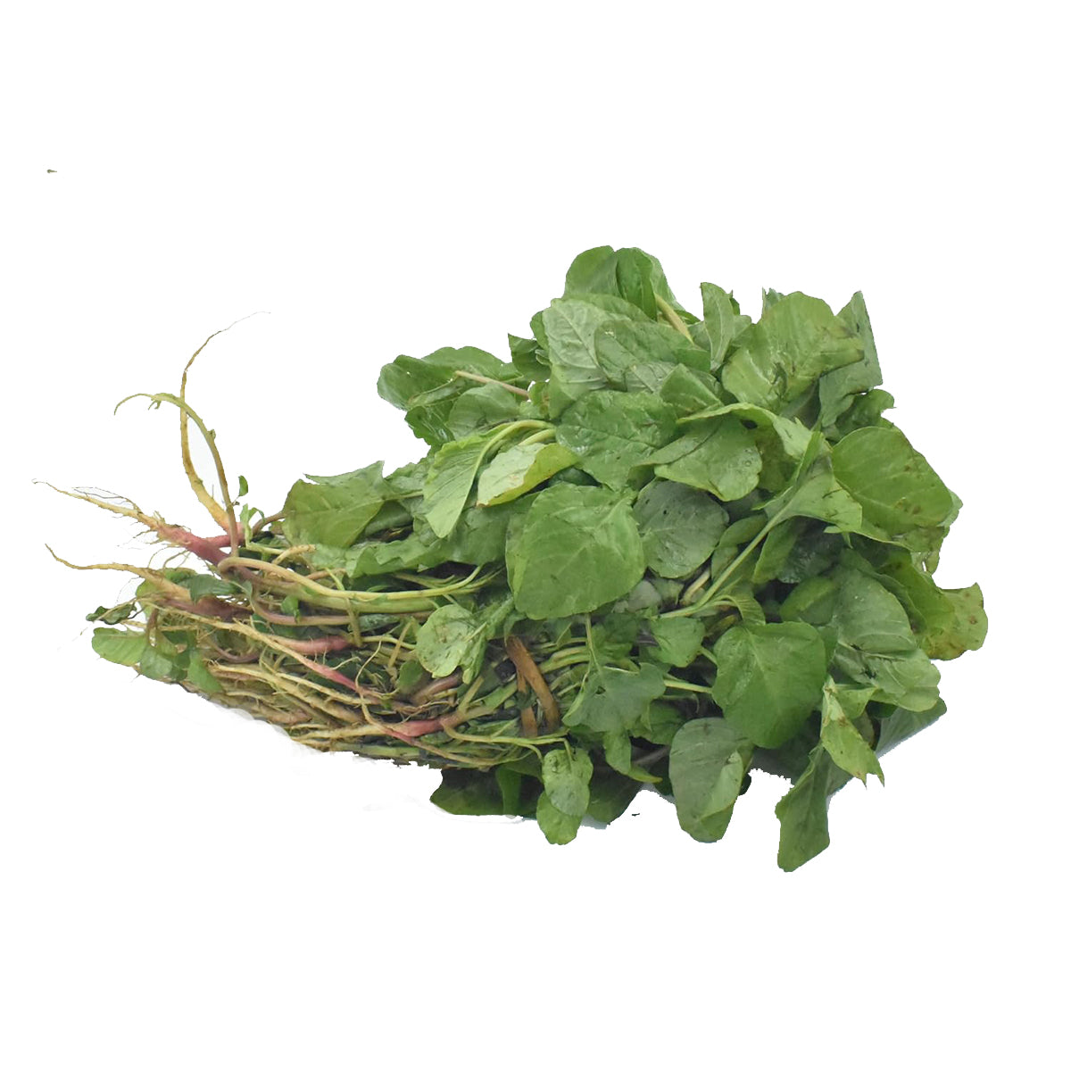 Buy Arai Keerai (Amaranthus Dubius) at Desicart.co.uk - Online Indian Grocery Store UK