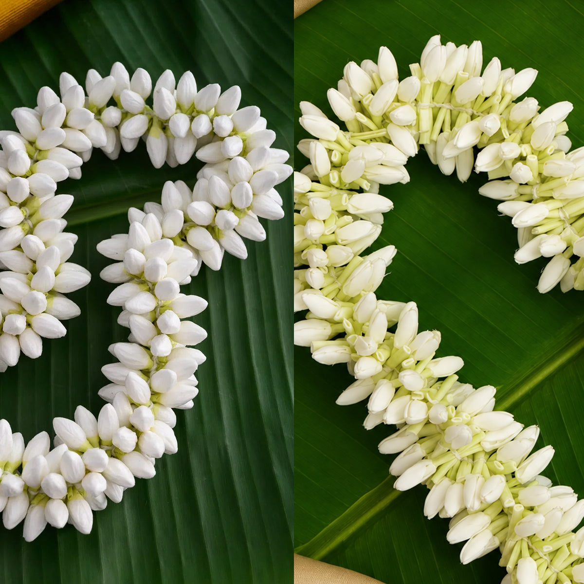 Buy Fresh Jasmine Or Mullai Flower at Desicart.co.uk - Online Indian Grocery Store UK