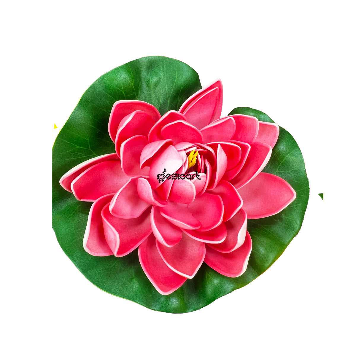 LOTUS PLASTIC