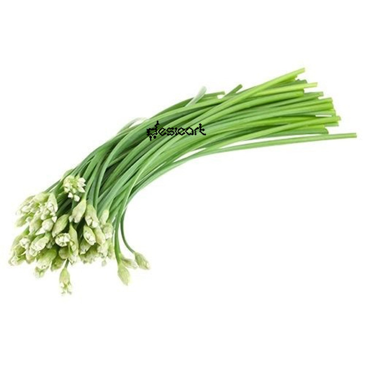 ONION FLOWER (Approx 500g)