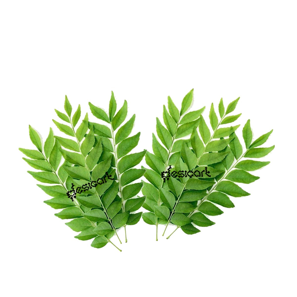 CURRY LEAVES APPROXIMATELY 20G (PACK OF 2)