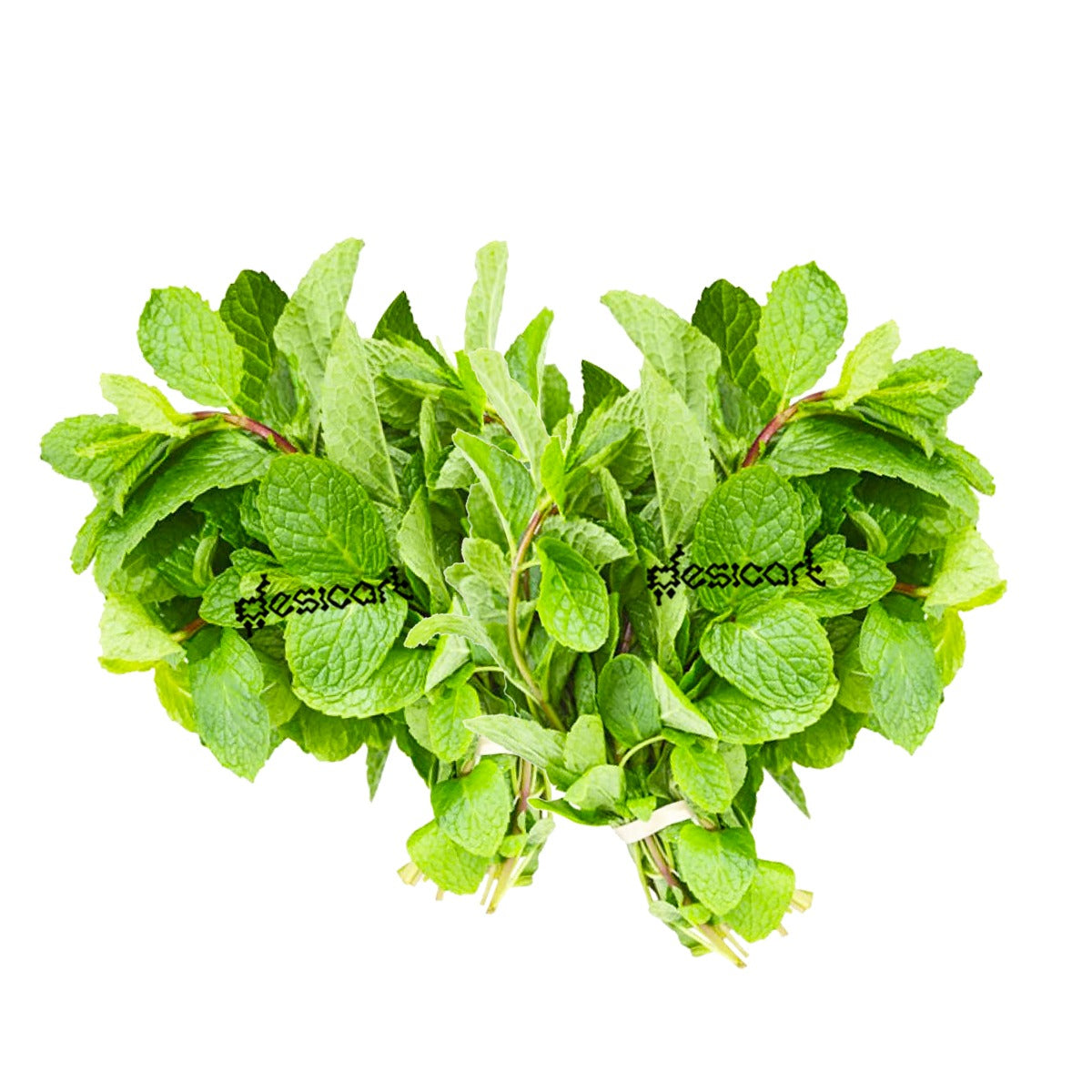 FRESH MINT/PUDINA LEAVES (BUNCH OF 2)