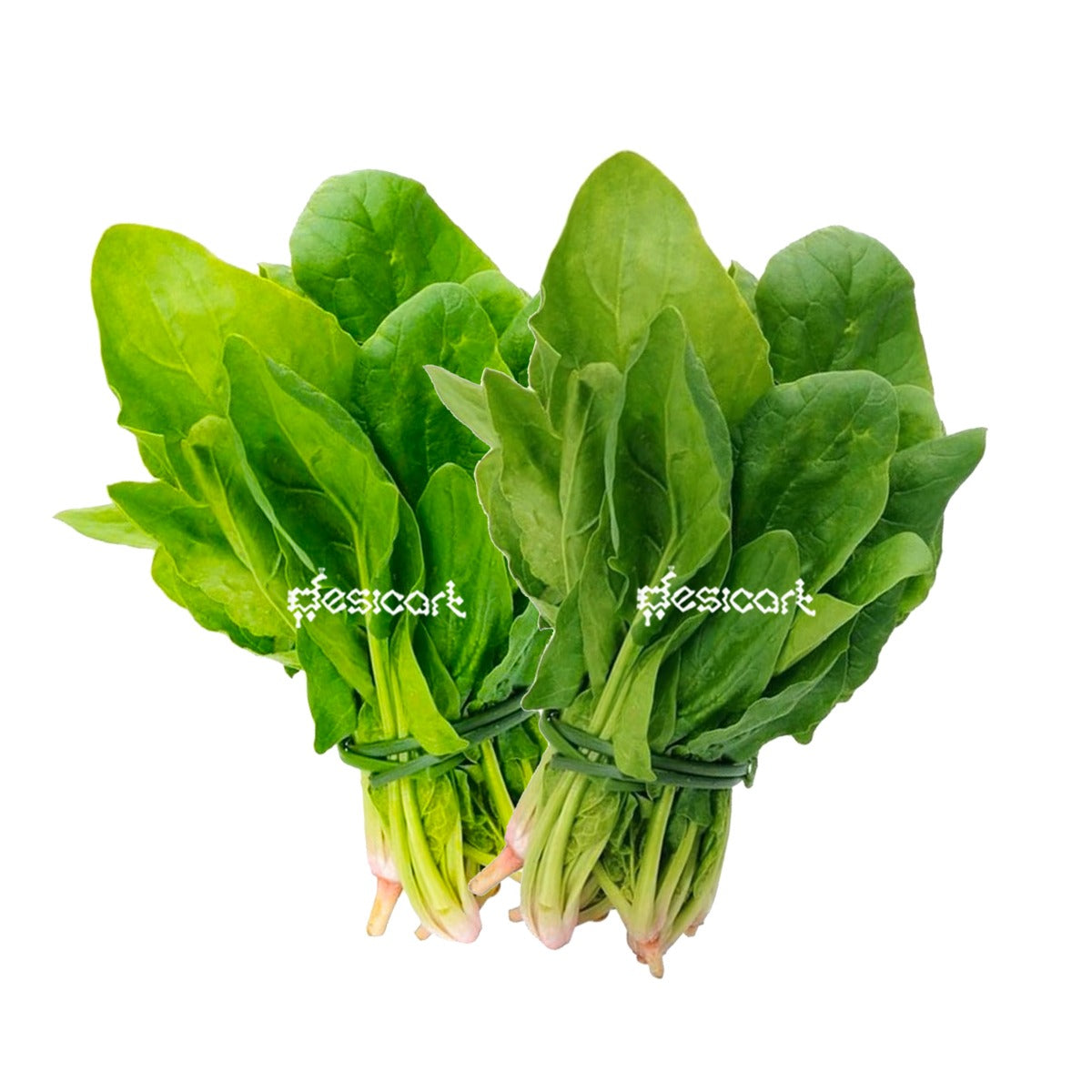 FRESH SPINACH (BUNCH OF 2)