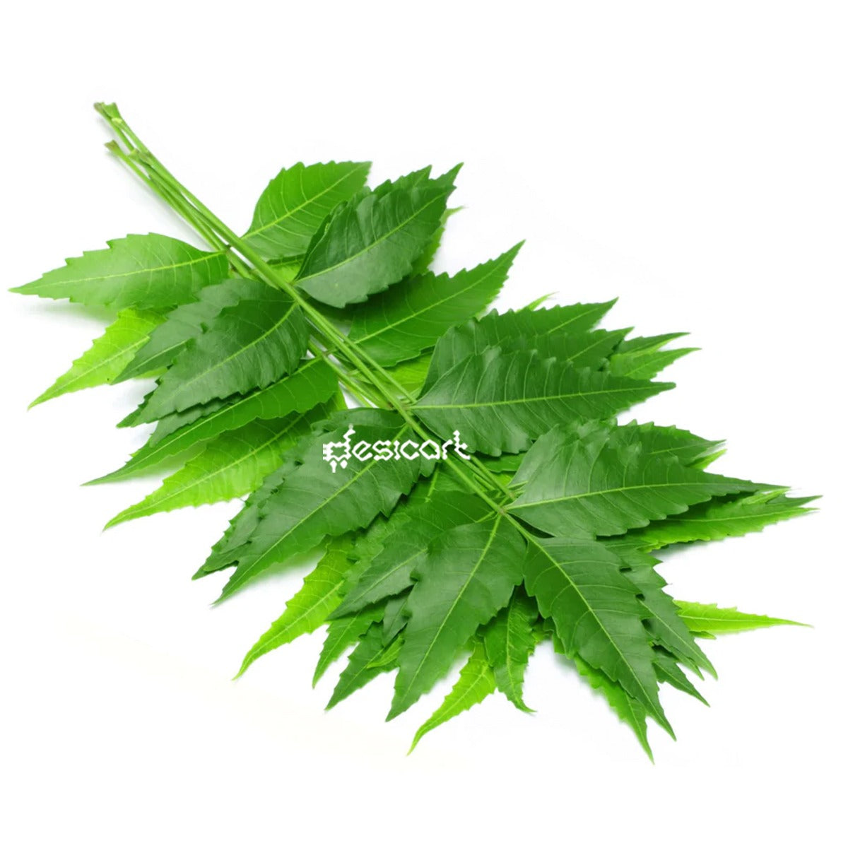 NEEM LEAVES (APPROX 200G)