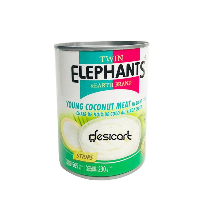 TWIN ELEPHANTS YOUNG COCO MEAT SYRUP 565G