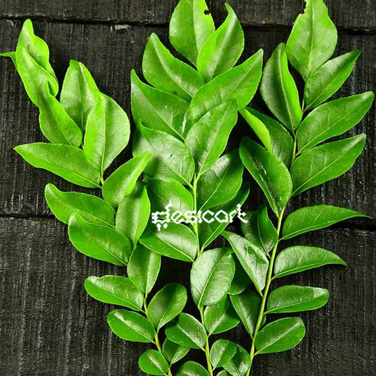 CURRY LEAVES (APPROX 20G)