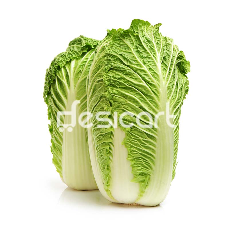 CHINESE CABBAGE -SINGLE