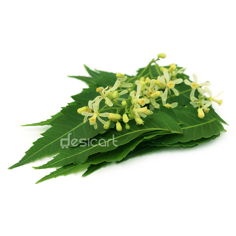 NEEM FLOWER APPROX 10G
